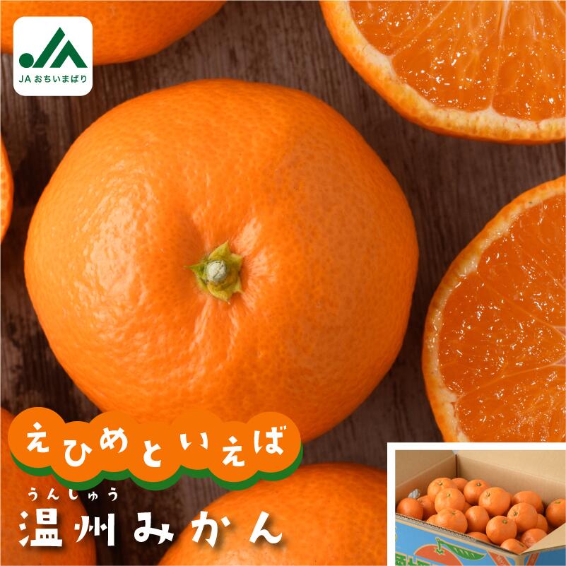 【ふるさと納税】【先行予約】＼迷ったらコレ！／温州みかん たっぷり 10kg 期間限定 ふるさと納税ミカン 温州ミカン 甘いみかん 愛媛みかん 果物 故郷納税フルーツ ふるさと納税フルーツ 愛媛ふるさと納税 愛媛県ふるさと納税 JA【KC00760】