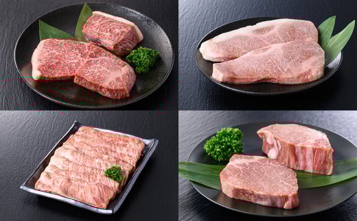 ≪４ヶ月定期便≫ 仙台牛 食べ比べ定期便 計2kg(4種) 登米産 牛肉 肉 お肉 冷凍 ランプステーキ サーロインステーキ 肩ロースすき焼き用 ヒレステーキ 頒布会【株式会社佐利】tm243