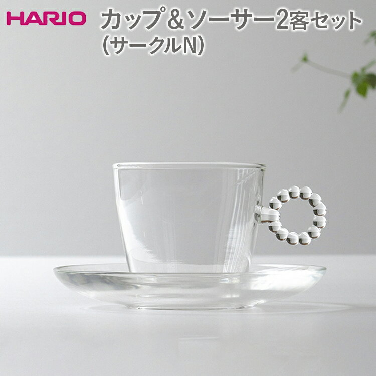 【ふるさと納税】HARIO カップ＆ソーサー 2客セット「サークルN」シリーズ［HTW-CS-C-N］｜ハリオ 耐熱 ガラス 食器 器 キッチン 日用品 キッチン用品 日本製 おしゃれ かわいい 紅茶 茶 カップ ソーサー 2客_DL21 ※離島への配送不可