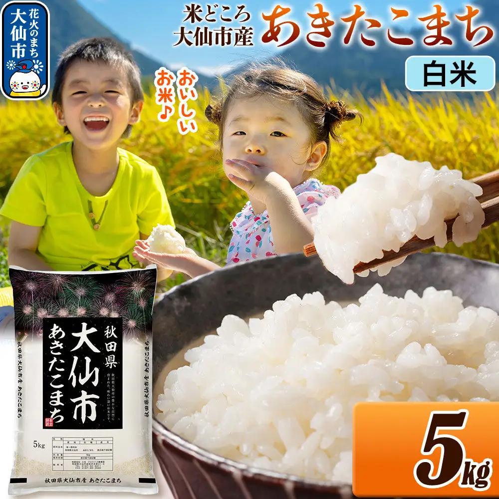米 あきたこまち【白米】米どころ秋田県大仙市産 令和7年産 精米 5kg（5kg×1袋）