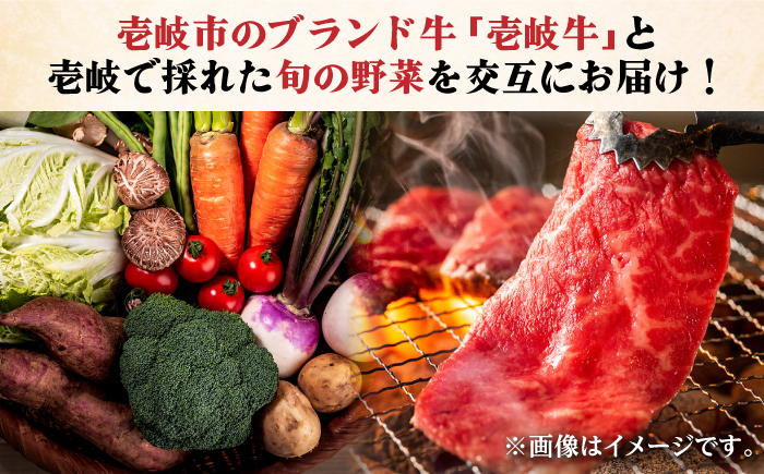 【全4回定期便】《A4～A5ランク》壱岐牛と旬の野菜定期便《壱岐市》【壱岐市農業協同組合】 [JBO077] 《A4～A5ランク》壱岐牛 肉 黒毛和牛 野菜 旬 詰め合わせ 贅沢 BBQ 93000円