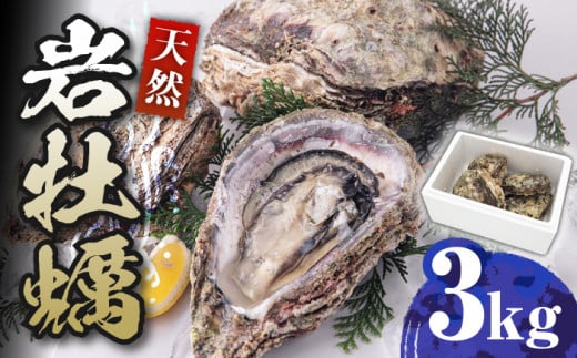 天然 岩ガキ 3kg《対馬市》【海風商事】国産 九州 長崎 牡蠣 [WAD001]冷蔵 新鮮 岩牡蠣 BBQ バーベキュー カキフライ 生牡蠣 生カキ 対馬 つしま かき 海鮮 魚介 浜焼き 貝
