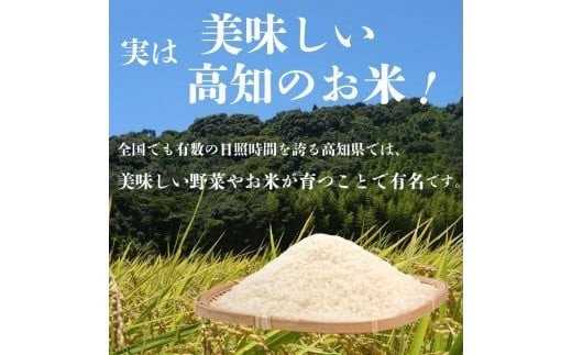 【早期予約】 数量数量限定 新米 コシヒカリ 10kg 令和7年 白米 精米 米 こしひかり ブランド米 国産 高知県 須崎 しんじょう君 産地直送 NF006 10kg