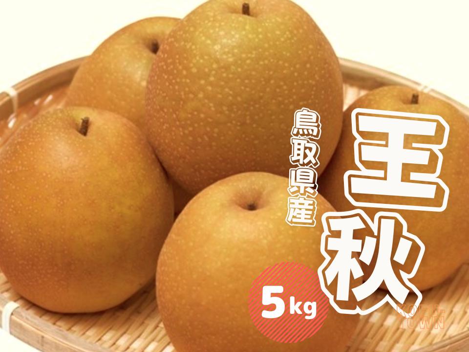 
            王秋 梨 5kg 鳥取県産 先行予約受付 JA米子選果場【10月中旬～10月下旬頃発送】おうしゅう ナシ なし 5キロ 0612
          
