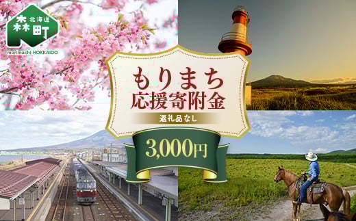 【返礼品なし】北海道森町 もりまち応援寄附金 3,000円 ＜北海道森町＞ 北海道 森町 mr1-0264