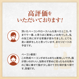 ハム ベーコン あらびきウインナー 爽やか信州軽井沢 熟成セット ハム