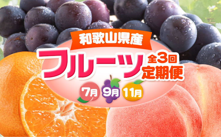 
                  人気フルーツ全3回（7月・9月・11月）定期便 厳選館《7月上旬-11月末頃出荷》和歌山県 日高町 果物 フルーツ 和歌山の 桃 モモ もも ぶどう ブドウ 種なし ピオーネ 有田みかん 有田 みかん ミカン 蜜柑 柑橘 送料無料【配送不可地域あり】
                
