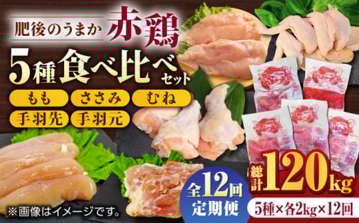 【12回定期便】肥後のうまか 赤鶏  5種食べ比べセット（モモ ささみ ムネ 手羽先 手羽元）各2kg【山内飼料 株式会社 熊本営業所】 熊本県 特産品  九州産  [ZAB014]