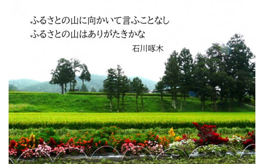＼新米 先行予約 令和7年産／ 完熟あさ陽米 (玄米) 5kg ひとめぼれ 特別栽培米 生産農家直送 (CP031)