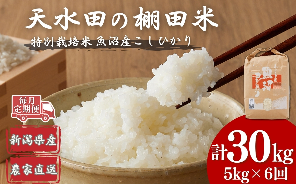 【令和7年産 定期便】【毎月お届け】わかとち産 魚沼コシヒカリ 特別栽培 棚田米 5kg×6回 白米 精米  先行予約 新潟県産 コシヒカリ