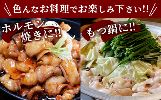 【年内お届け】熊本県産 あか牛 ミックス ホルモン 1kg（500g×2パック） ※12月18日～28日発送 ※もつ鍋 焼肉 ホルモン  年内発送 年内配送 クリスマス