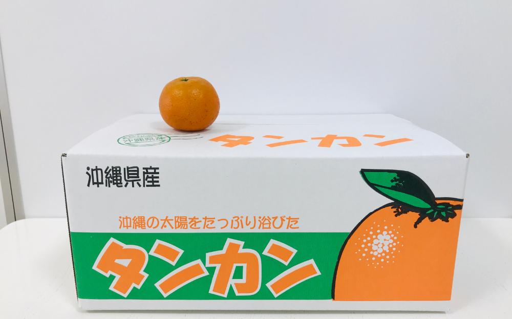 「道の駅 ゆいゆい国頭」厳選！“やなかーぎー” ほど美味しい⁉タンカン（5kg）【2025年発送 先行受付】