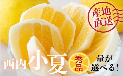 
                  量が選べる 【秀品】西内小夏　2kg/5kg　N56 N57
                