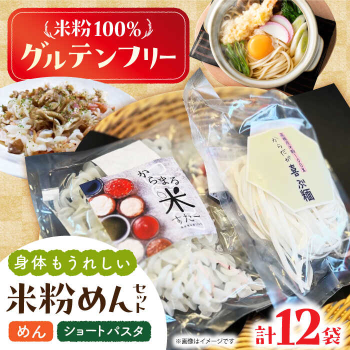 【ふるさと納税】高槻産 米粉 100％ 米粉めんセット 大阪府高槻市/株式会社高谷 米粉 麺 お米 グルテンフリー 小麦粉 料理 おかず 材料 [AOAW021]