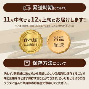【先行予約 2026年収穫分】長いも（ネバリスター）5kg （1箱）/ 長いも