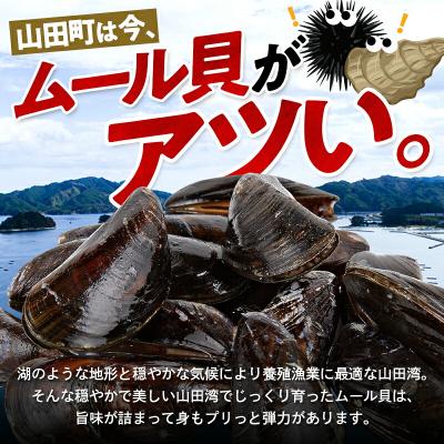ふるさと納税 山田町 三陸山田産 山田 の ムール貝 1kg |  | 01