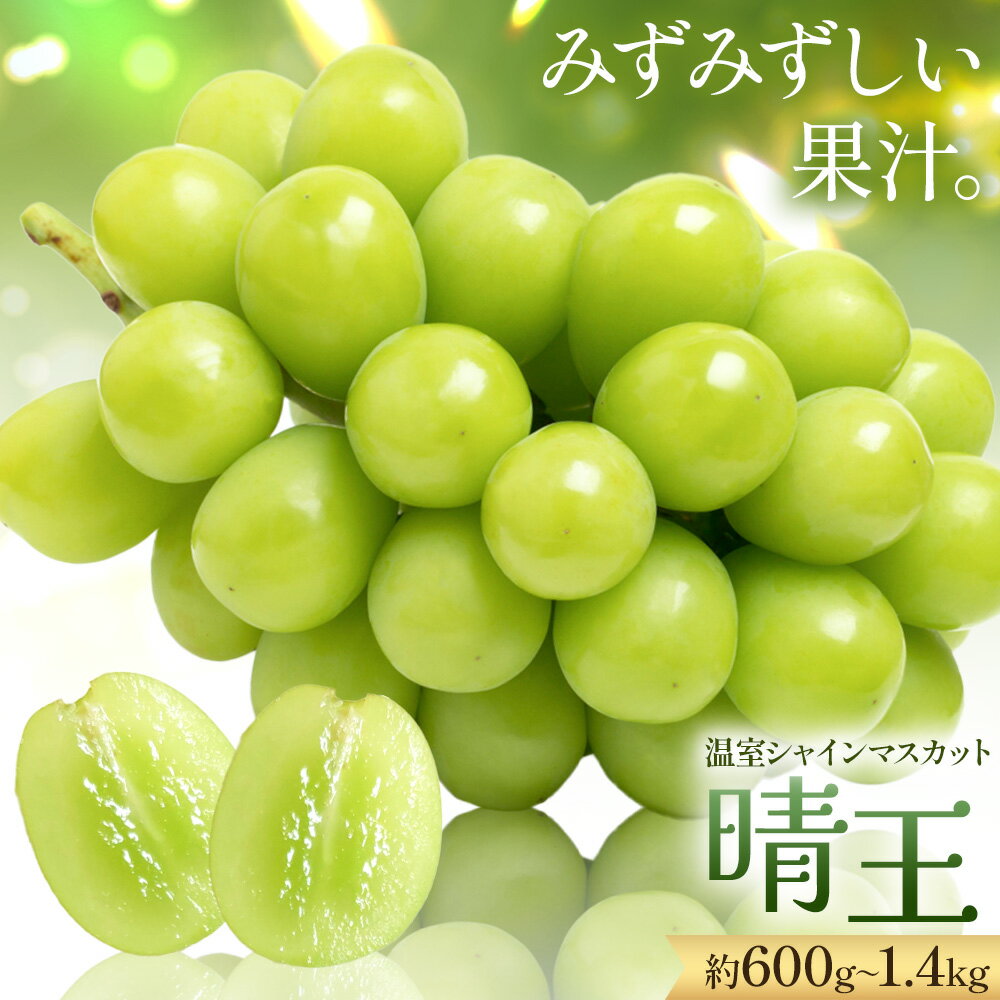 【2026年発送先行予約】【ふるさと納税】シャインマスカット 温室 晴王 1房 2房 定期便 シャイン マスカット《2026年7月中旬‐10月中旬頃発送》 晴レ乃青果　(岡山中央卸売市場店(富士紙工 有限会社)) 送料無料 岡山県 浅口市 フルーツ 果物 岡山県産【配送不可地域あり】