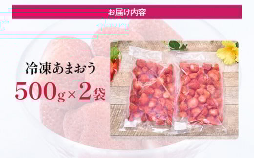 福岡産 冷凍あまおう 1kg(500g×2袋) あまおう イチゴ いちご スイーツ 果物 フルーツ 送料無料 冷凍フルーツ ジャム 苺 ケーキ スムージー いちご飴 かき氷 フルーツ大福 クリスマス 