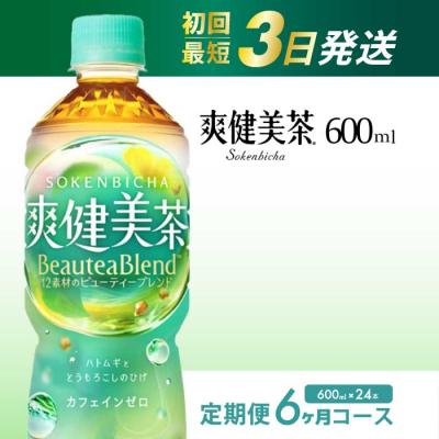 ふるさと納税 三原市 【定期便6か月】爽健美茶 600ml PET24本セット[014-060]