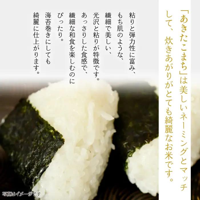 【 3ヶ月 定期便 】武田家のお米 墾 あきたこまち 精米 5kg 総量 15kg