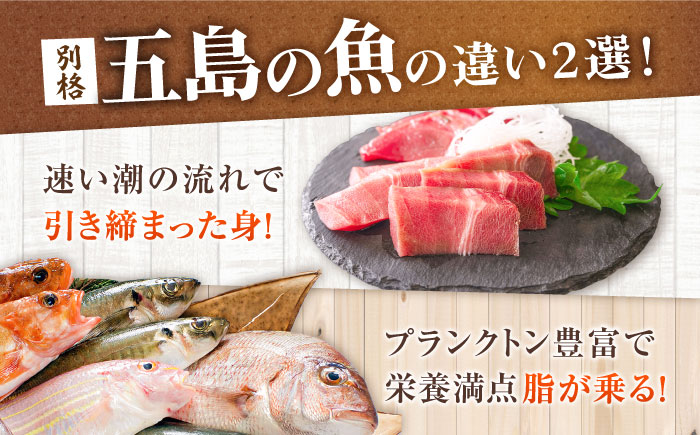 【全6回定期便】おまかせ旬魚のゴトポキ10パック(10食)セット 五島市/金沢鮮魚 [PEP062]