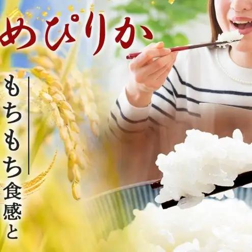 ゆめぴりか 5kg 定期便 12回 令和8年産 北海道 お米 米 ゆめぴりか
