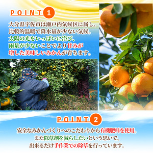 ＜先行予約受付中！2月中旬より順次発送予定＞大分県宇佐市産 蔵出し みかん(約10kg)ミカン 蜜柑 柑橘 フルーツ 果物 くだもの 果実 国産 熟成【103690400】【井上農園】