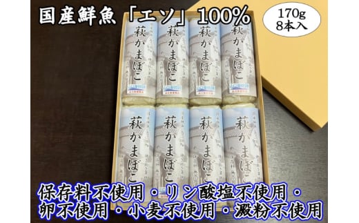 萩かまぼこ 170g 白8本【化粧箱入】（国産鮮魚エソ100％）　｜HG000078