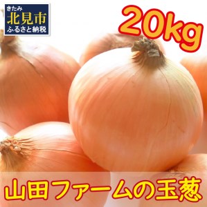 【予約：2025年10月中旬から順次発送】山田ファームの玉葱 20kg Lサイズ以上 ( 野菜 やさい 玉ねぎ タマネギ 20キロ )【123-0001-2025】