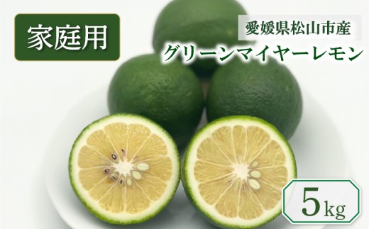 【2026年9月中旬頃から順次発送】家庭用 グリーンマイヤーレモン 5㎏  | 果物 くだもの フルーツ グリーンレモン ぐりーんれもん  