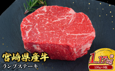 宮崎県産 黒牛 ステーキ 赤身 牛肉 ステーキ用 130g × 9枚 ランプ 130g 1170g 肉 牛 国産牛 小分け 真空パック 冷凍 贈答 ギフト人気 国産 えびの市 送料無料