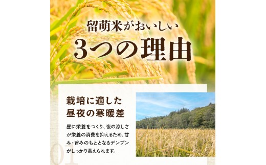 令和8年産 留萌市産 ななつぼし 10kg (5kg×2袋) R037-009
