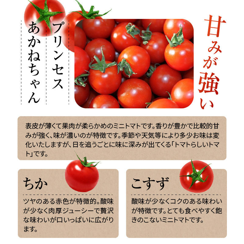 《予約受付中》【内閣総理大臣賞受賞】毎日食べたくなるミニトマト３kg 農林水産大臣賞受賞 日本農業賞大賞受賞 H031-002