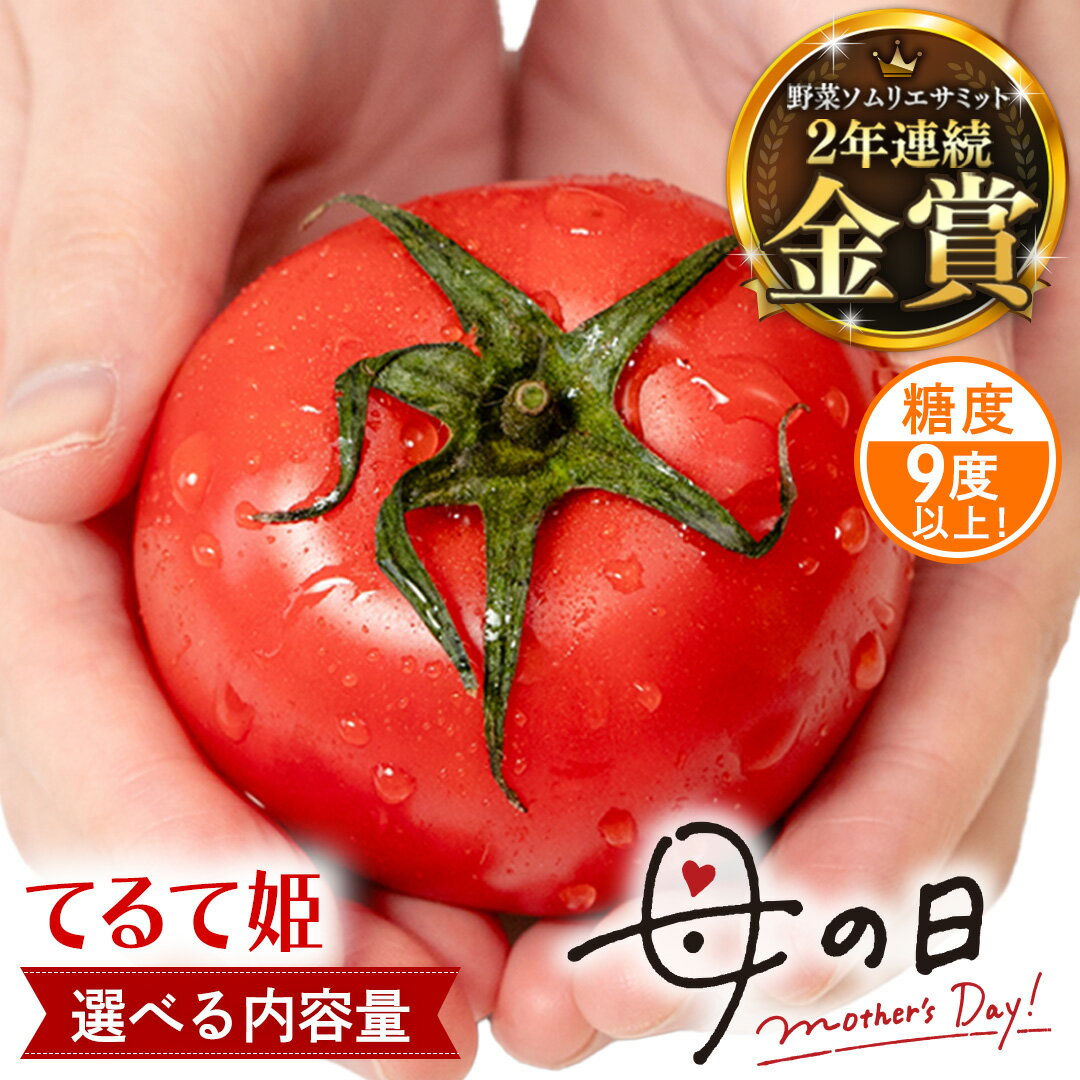 【ふるさと納税】【母の日専用】 スーパーフルーツトマト てるて姫 1箱 糖度9度以上 約800g～約2.6kg 《5月4日～10日お届け メッセージカード付》 トマト とまと 野菜 母の日 ギフト 贈り物 プレゼント 感謝 記念日