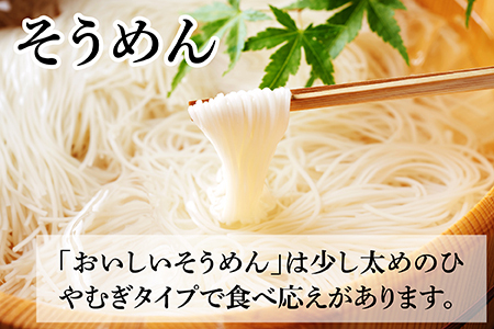 夏 ひんやり麺 セット～冷やし中華 6食＆そうめん 5袋〜 ソーメン 素麵 冷やしラーメン 076-0467