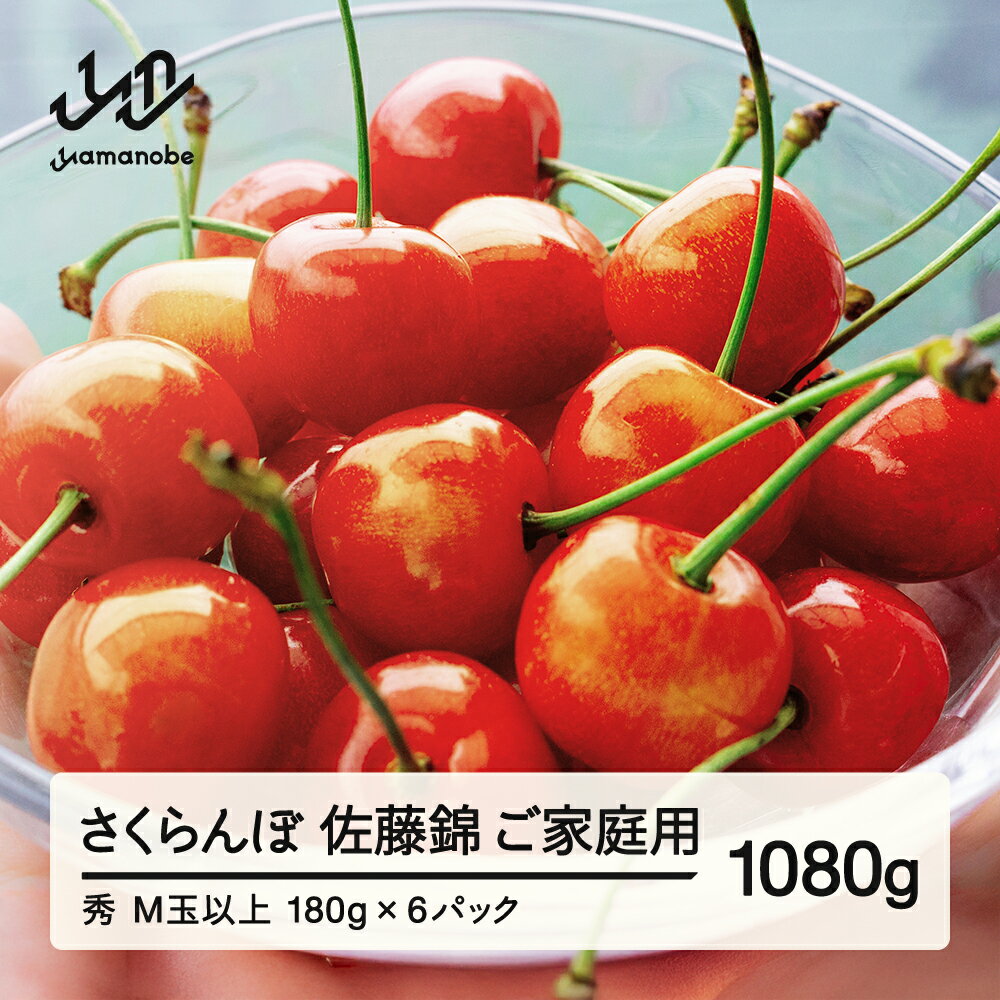【ふるさと納税】【先行予約】 さくらんぼ 佐藤錦 ご家庭用 秀品 M玉以上 約1080g 令和8年産 2026年産 山形県産 フルーツ 果物 送料無料 tf-snpsm1080
