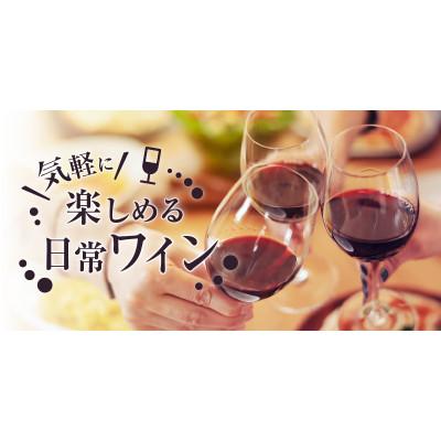 ふるさと納税 甲州市 本格派【グラン蒼龍】赤・白(県産葡萄使用)各1本セット |  | 01