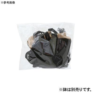 ふるさと納税 邑楽町 マクラメプランツハンガー 流木付き葉っぱモチーフコットンロープ|09_chm-d50101ac |  | 01
