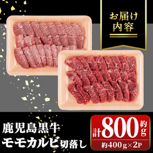 【B01037】＜期間限定＞鹿児島黒牛 モモ カルビ 切落し 焼肉用(計800g・約400g×2P)  牛肉専門店自慢のお肉 鹿児島 国産 九州産 牛肉 カルビ モモ 切り落とし 切落とし A5 等級