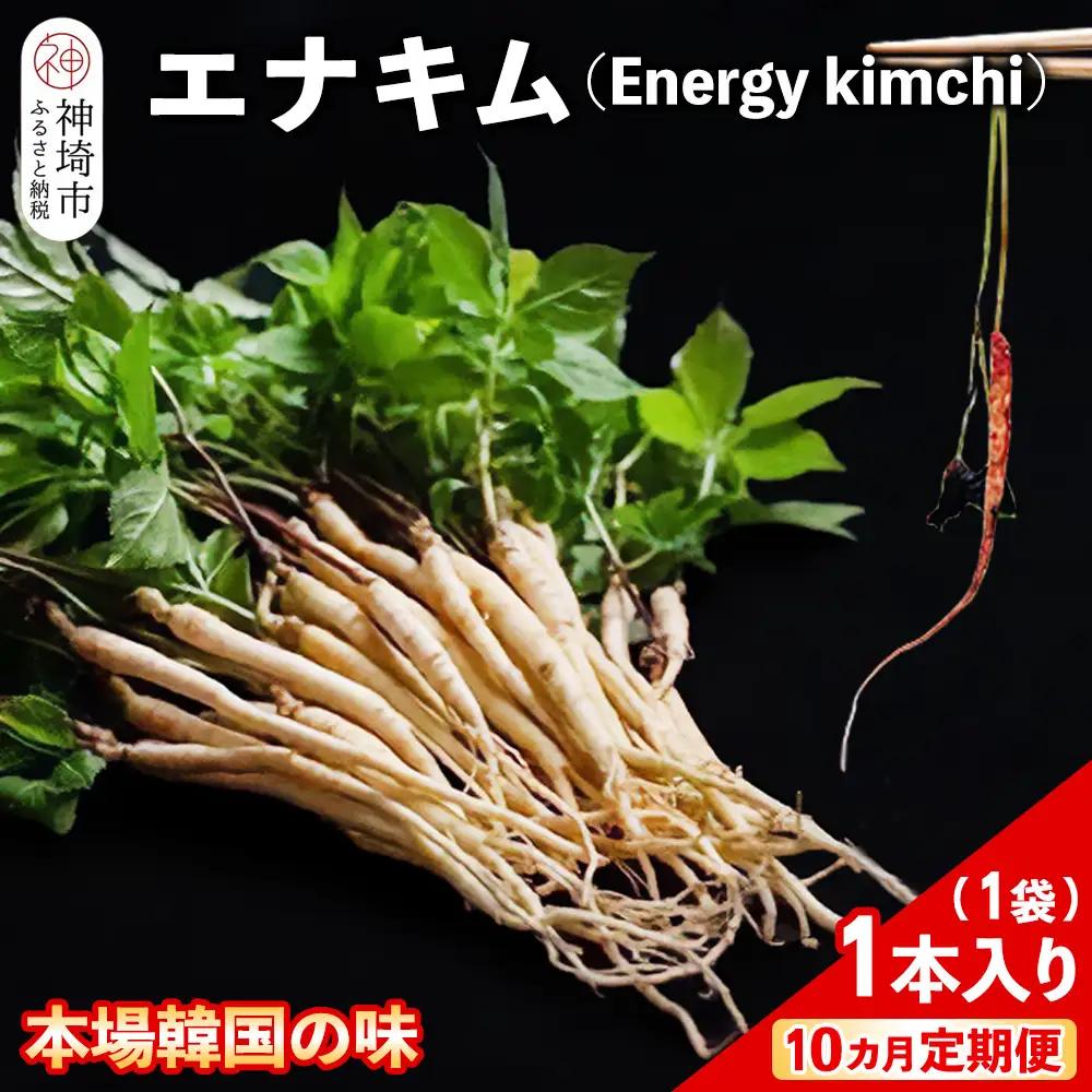 【10カ月定期便】一子相伝 秘伝のエナキム(高麗人参スプラウト・キムチ)1袋1本入(H104312)