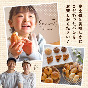 無添加冷凍パンセット〈リッチ〉　6回定期便 無添加 冷凍パン セット リッチ 急速冷凍 焼きたて パン 長期保存 国産小麦 ミルクハース ナチュラブール ブリオッシュブール クロワッサン メロンパン 