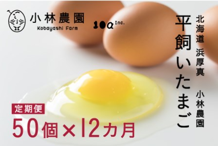 【1021】１年間定期便！こだわりの無投薬･平飼い有精卵 ＜毎月５０個×１年間＞