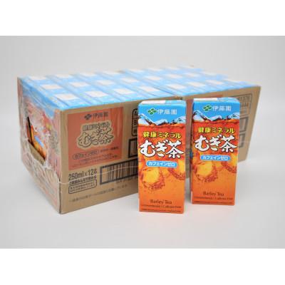 ふるさと納税 北杜市 伊藤園の【健康ミネラルむぎ茶】250ml　24本　紙パック