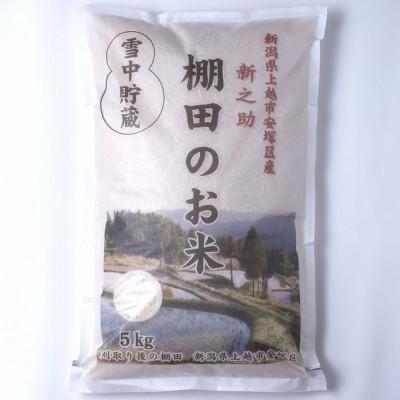 ふるさと納税 上越市 【毎月定期便】雪むろ棚田米 新之助 5kg 精米《新潟県上越市安塚区産》全3回 |  | 01