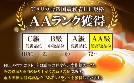 【全12回定期便】【TVで紹介！】鮮度ＡＡ級の世界最高ランク！金太郎卵 平飼い 卵 60個（6個入り?10パック）＜有限会社 フジノ香花園＞那珂川市 卵 金太郎卵 平飼い卵 平飼い 卵 たまご タマゴ