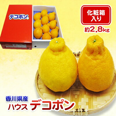 【ふるさと納税】ハウスデコポン 2.8kg 化粧箱 香川県産 デコポン でこぽん フルーツ 果物 くだもの 旬のフルーツ 旬の果物 柑橘 柑橘類 ハウス みかん ハウスみかん 香川 香川県 東かがわ市　お届け：2026年2月1日～3月10日