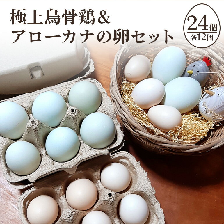 【ふるさと納税】平飼い極上のうこっけいの卵と幸せの青い卵（アローカナの卵）のセット24個（20＋補償4個） 食べ比べ 食べくらべ 卵かけご飯 卵かけごはん TKG 卵 たまご タマゴ 玉子 安全 テレビ TV 健康 美容 すき焼き 37-G