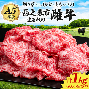 「 自慢 の逸品」 西之表市生まれの黒毛和牛 雌牛 切り落とし 肉 （200g×5パック）NFN539 【300pt】