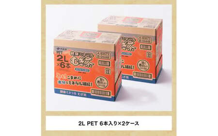 【定期便】伊藤園 健康ミネラル むぎ茶 2L×6本×2ケース PET 9ケ月定期便【お茶 麦茶 ムギ茶 飲料  水分補給 ソフトドリンク 長期保存お茶 備蓄お茶 ペットボトル カフェインゼロ カロリー