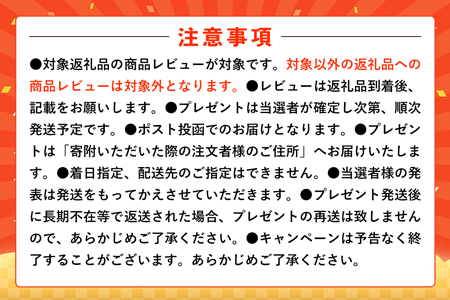 ★レビューキャンペーン対象★【定期便3回】オリオン ザ・プレミアム【350ml×24缶】が毎月届く【価格改定YB】